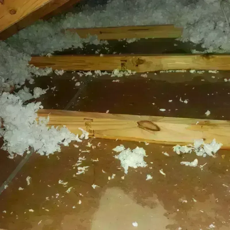 Attic Water Damage in Lindale, TX