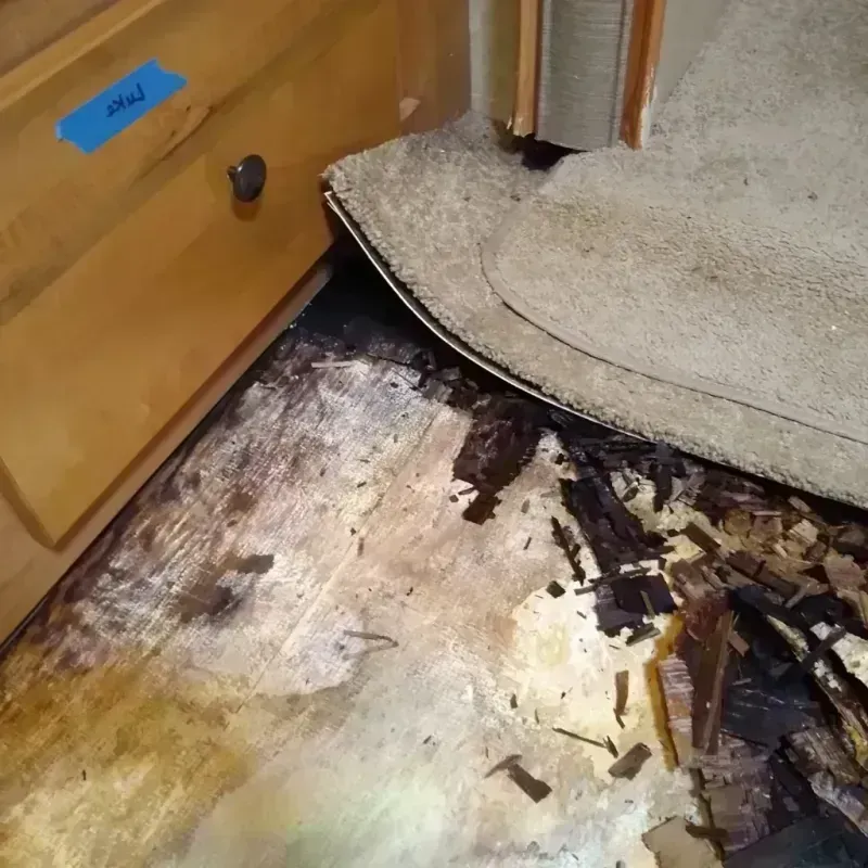 Best Wood Floor Water Damage Service in Lindale, TX